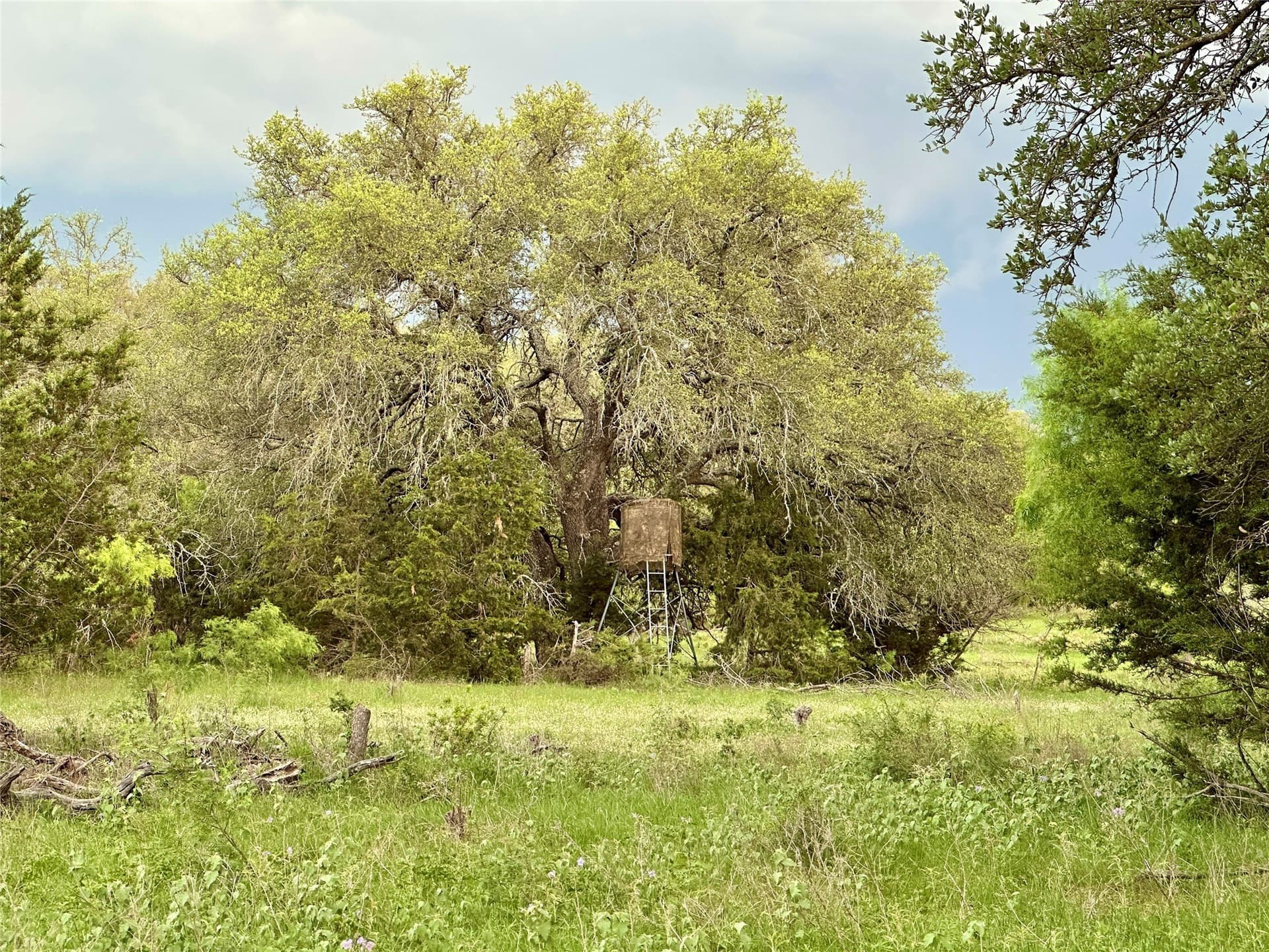 150 acres in Mills County - photo 35