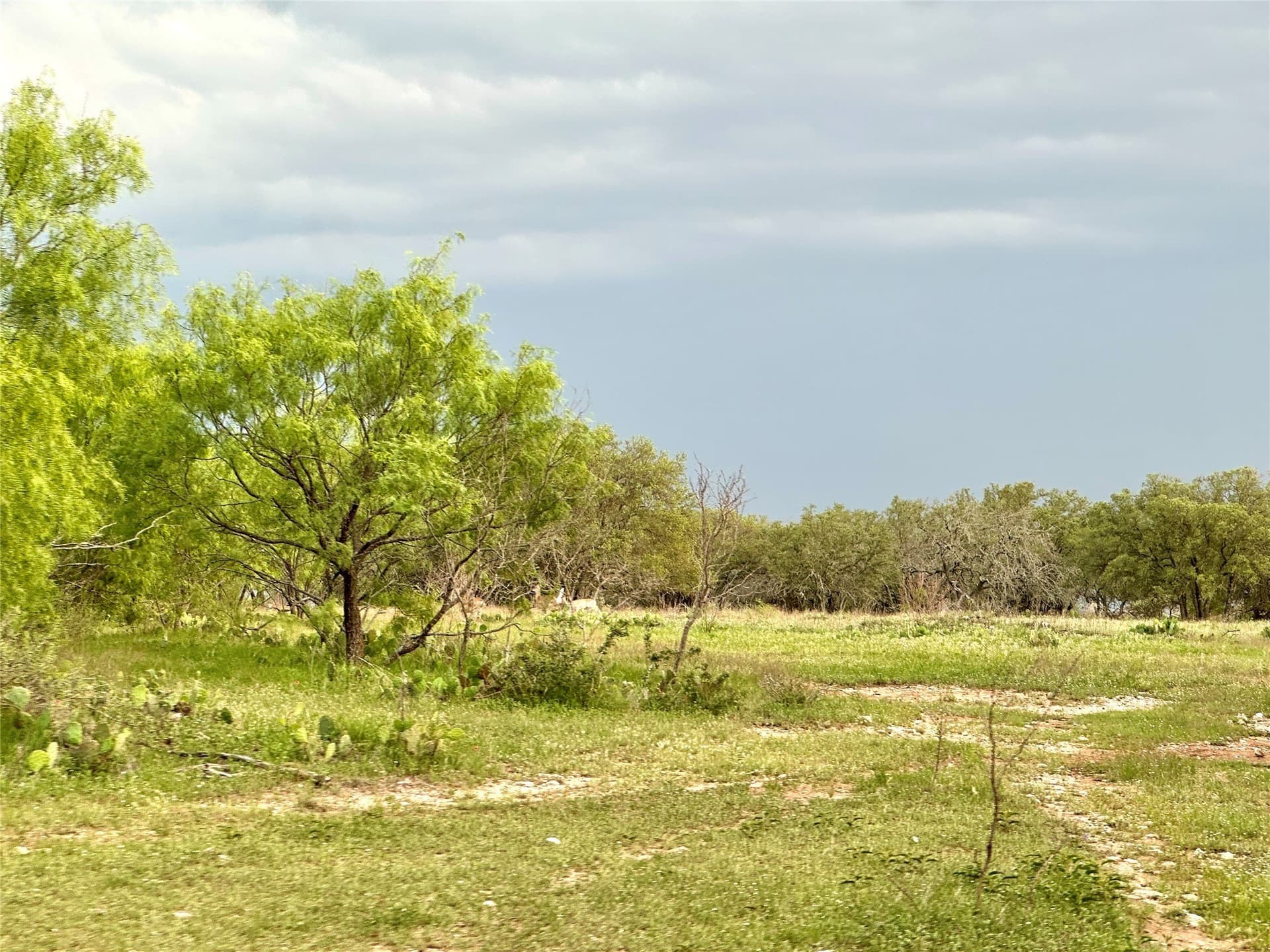 150 acres in Mills County - photo 27