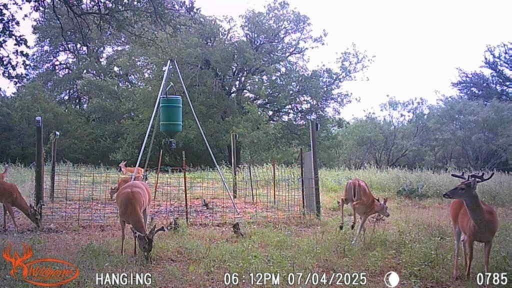 150 acres in Mills County - photo 9