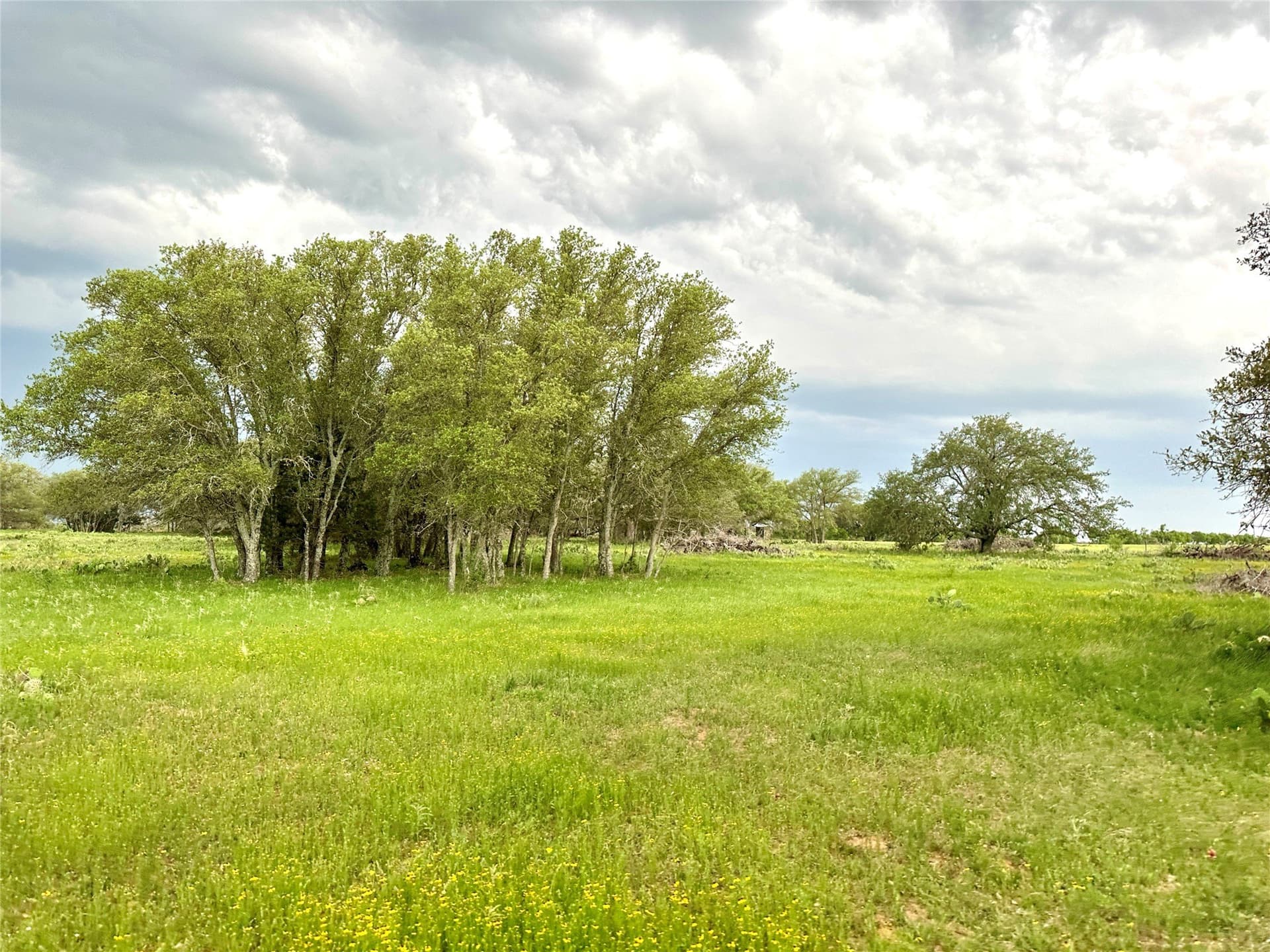 150 acres in Mills County - photo 40