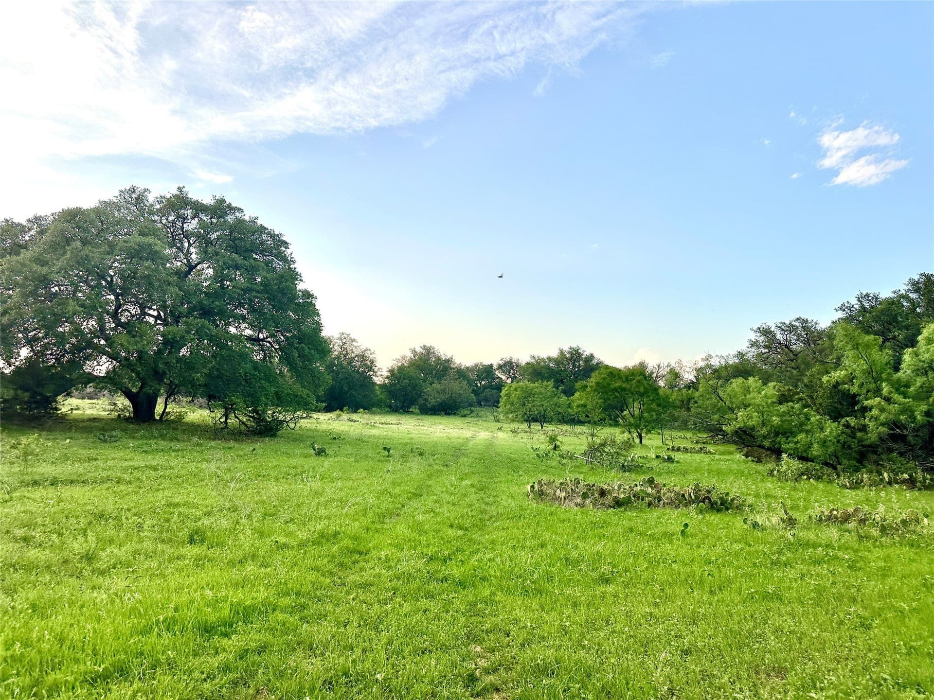 150 acres in Mills County - photo 31