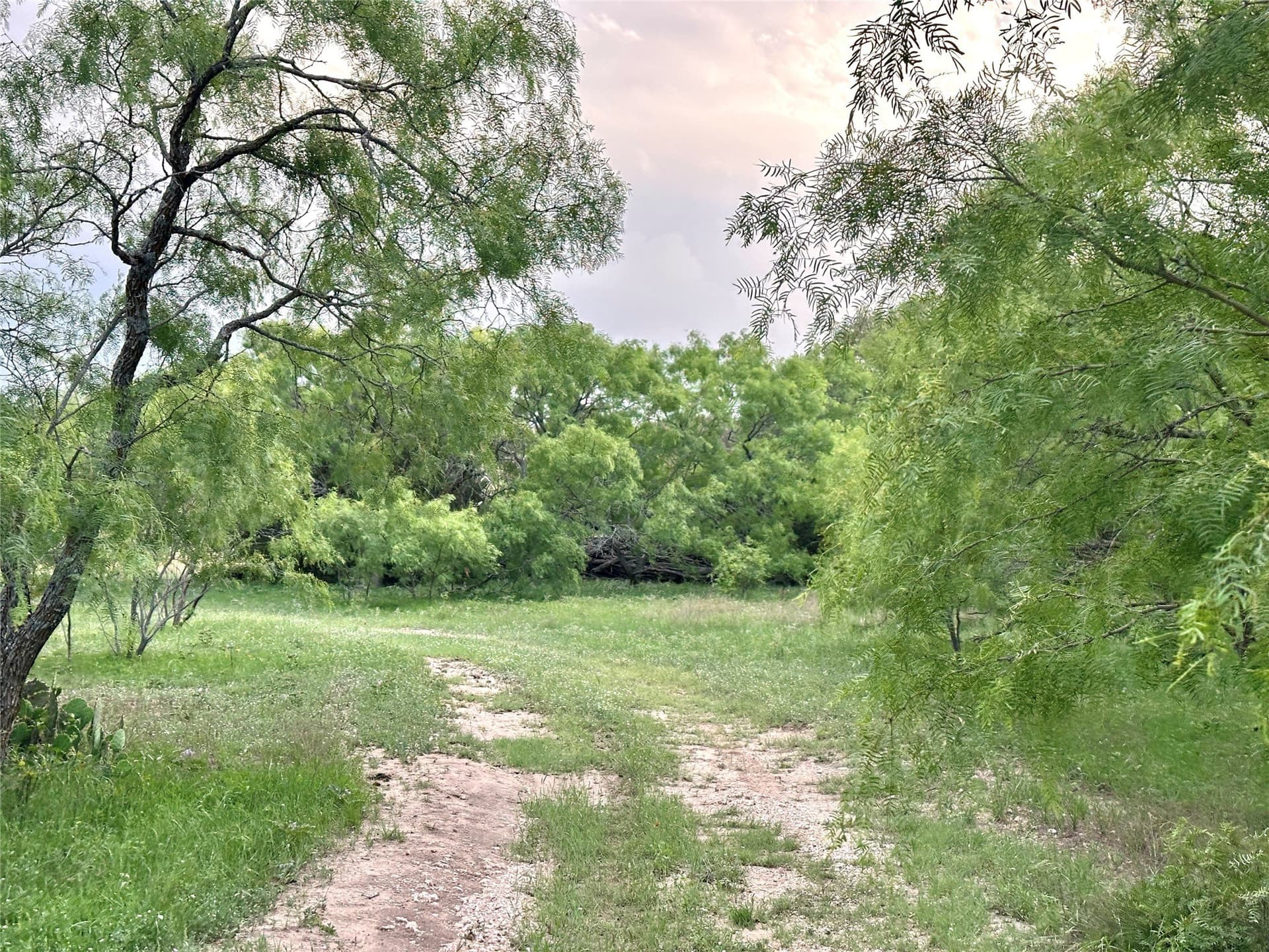 150 acres in Mills County - photo 16