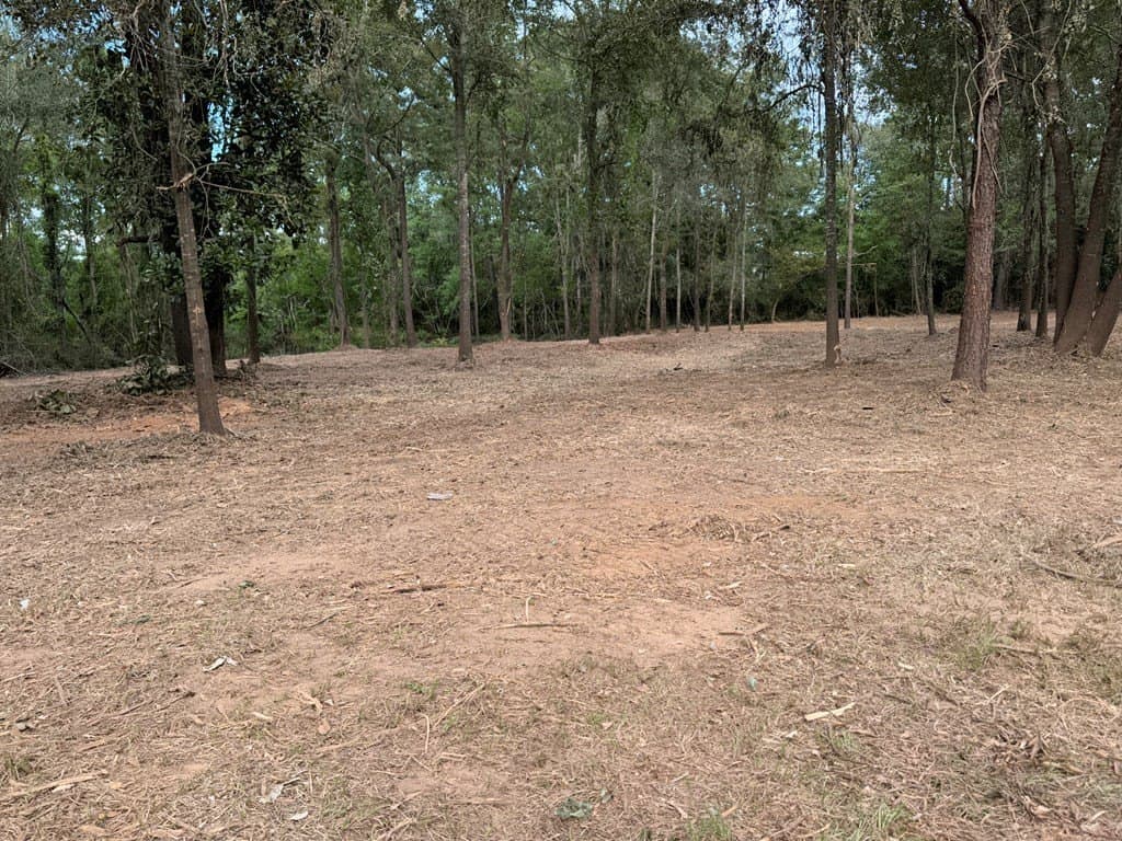 10.33 acres in Texas County - photo 9