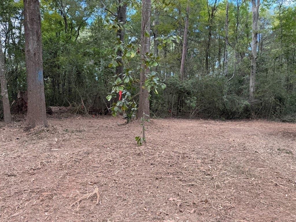 10.33 acres in Texas County - photo 7