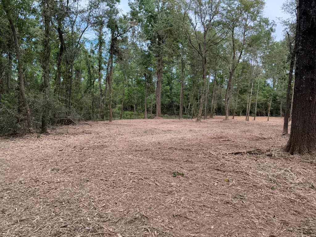 10.33 acres in Texas County - photo 6