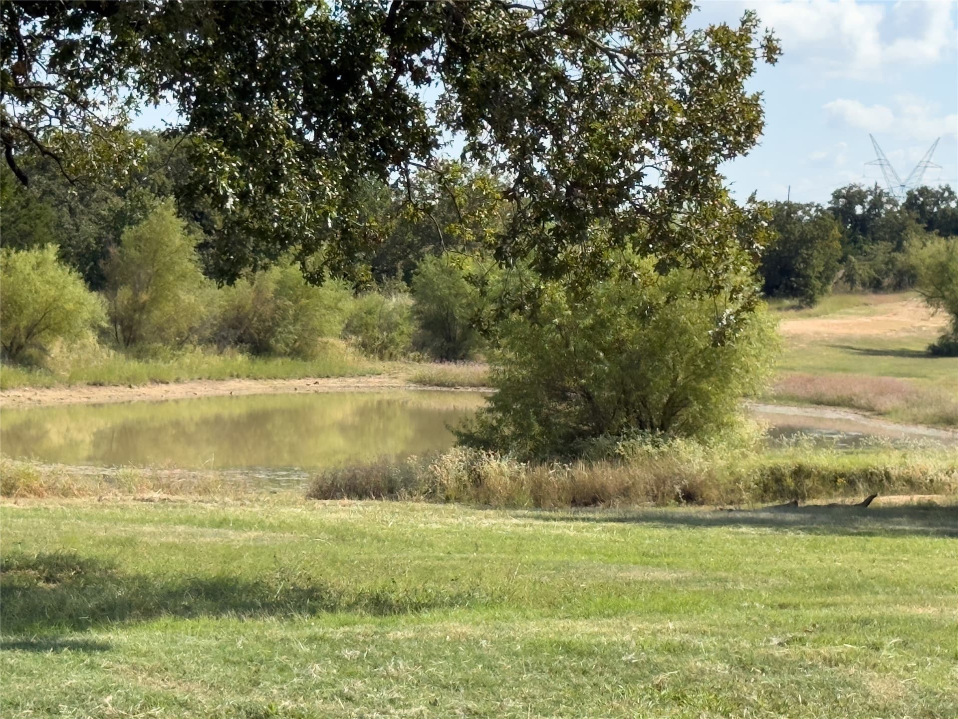 3 acres in Wise County - photo 18