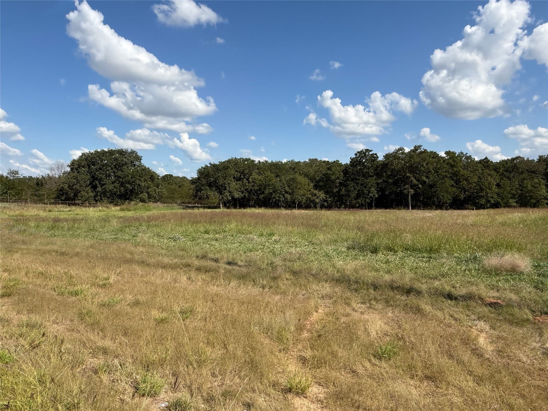 3 acres in Wise County gallery image 4