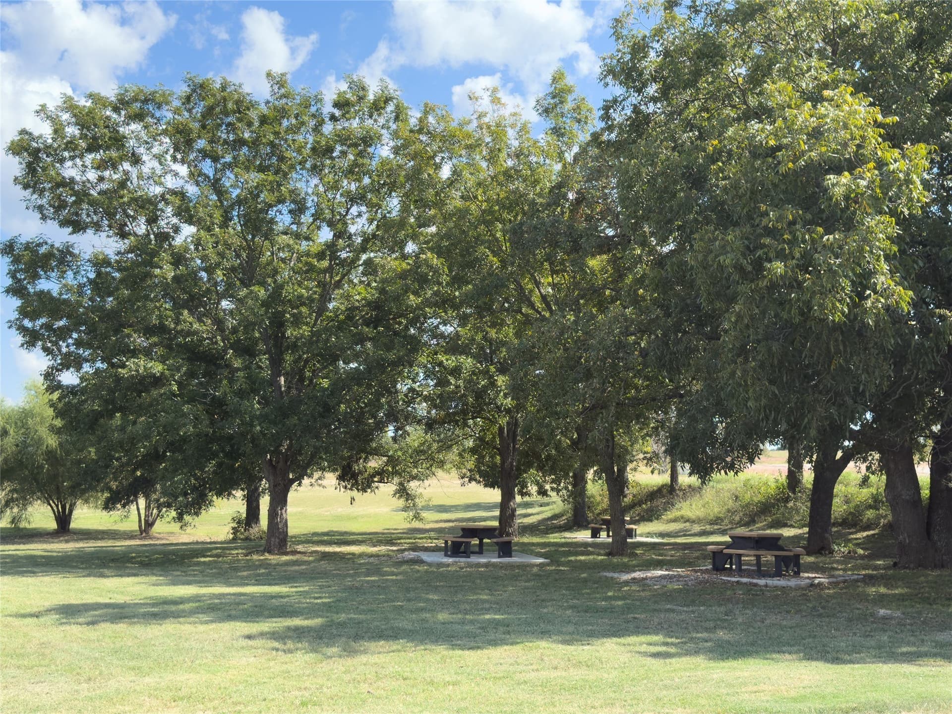 3 acres in Wise County - photo 19