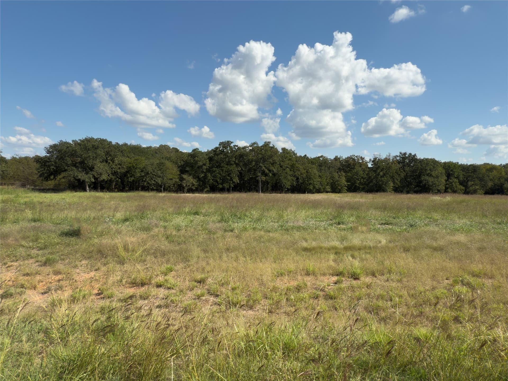 3 acres in Wise County - photo 7