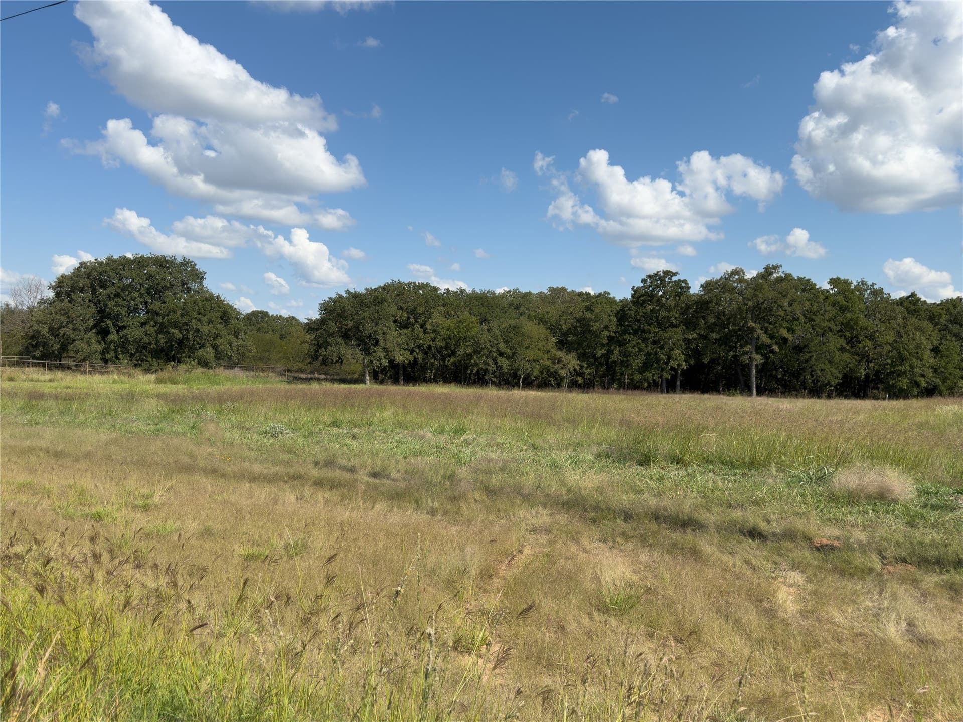 3 acres in Wise County - photo 6