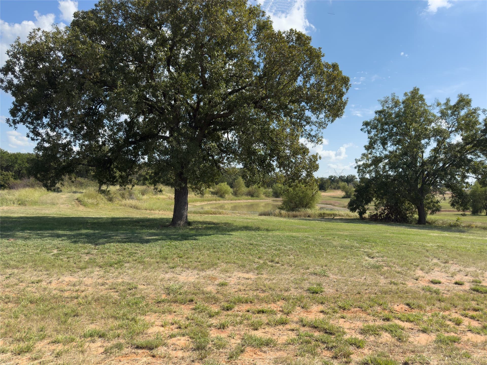 3 acres in Wise County gallery image 2