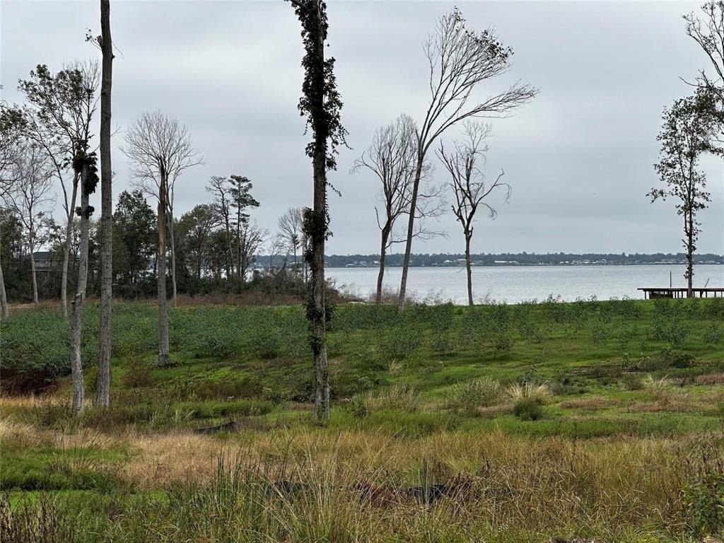 0.46 acres in Polk County gallery image 2