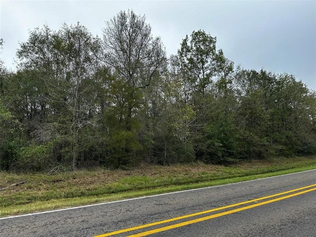 0.46 acres in Polk County gallery image 3