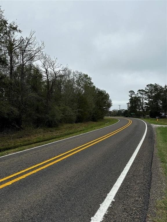 0.46 acres in Polk County gallery image 4