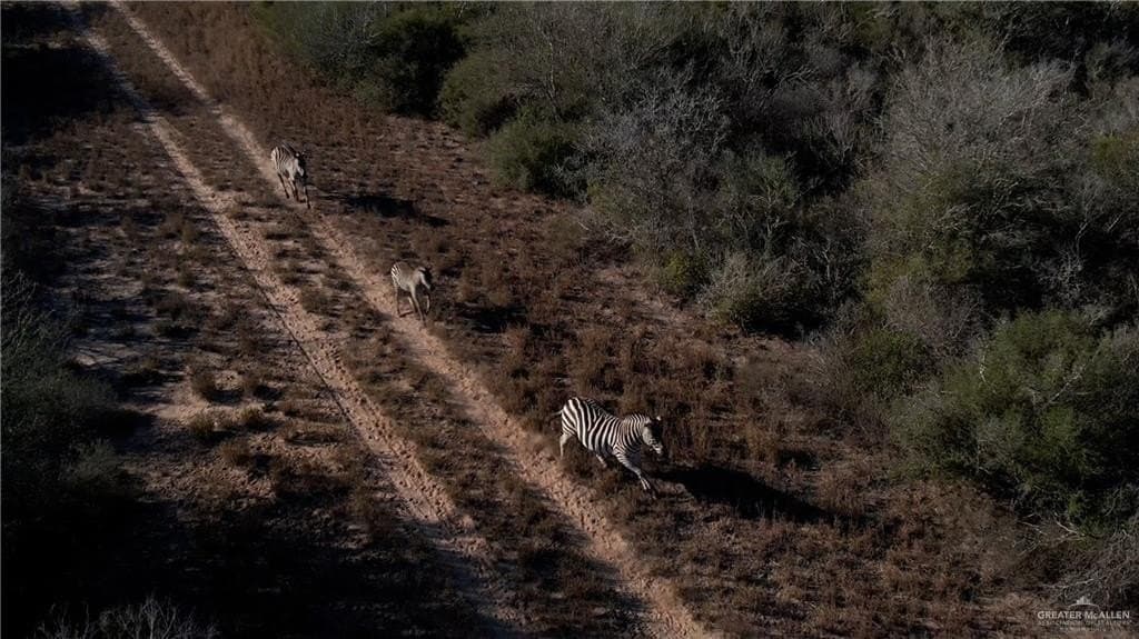 582 acres in Hidalgo County featured view