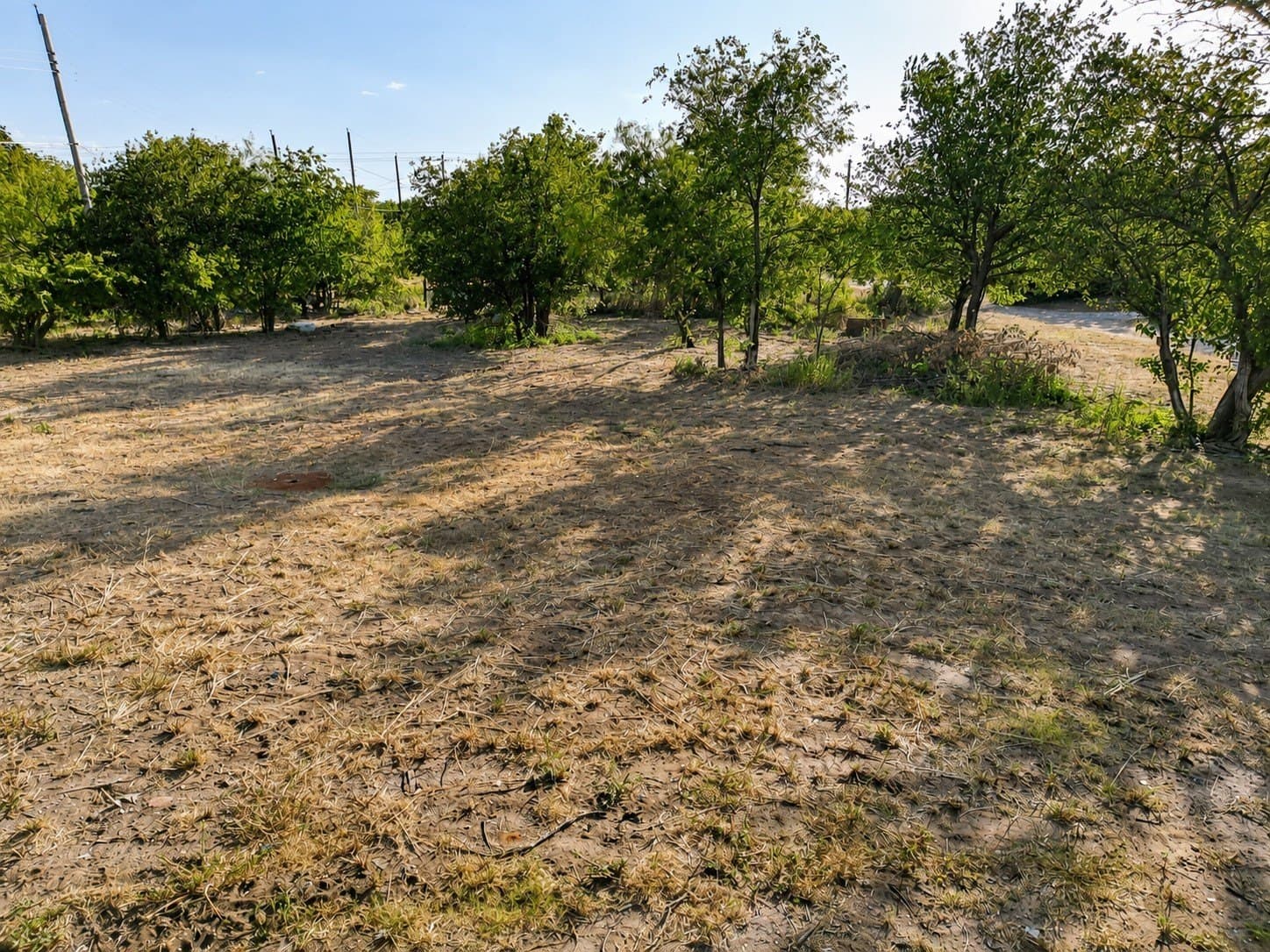 0.57 acres in Eastland County - photo 13