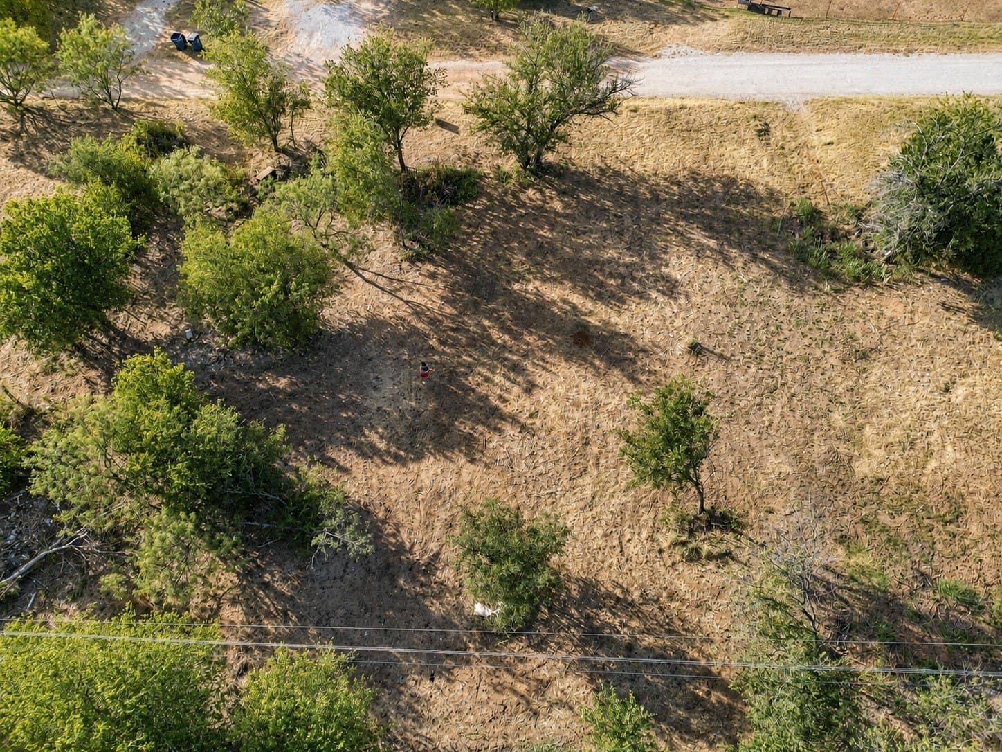 0.57 acres in Eastland County - photo 7