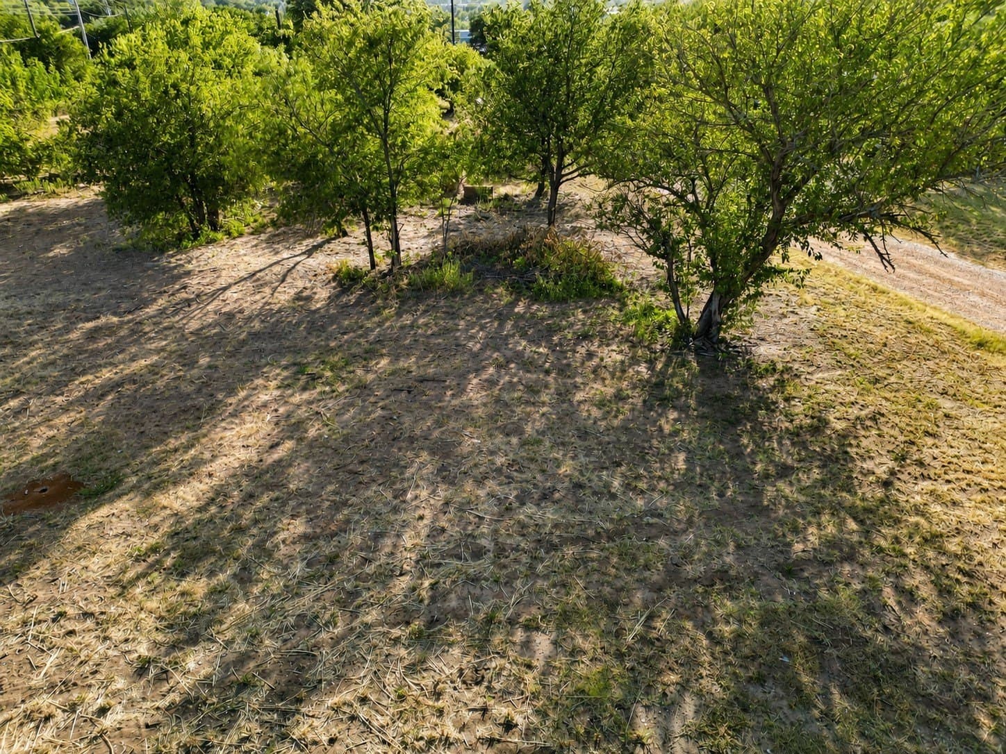 0.57 acres in Eastland County - photo 6