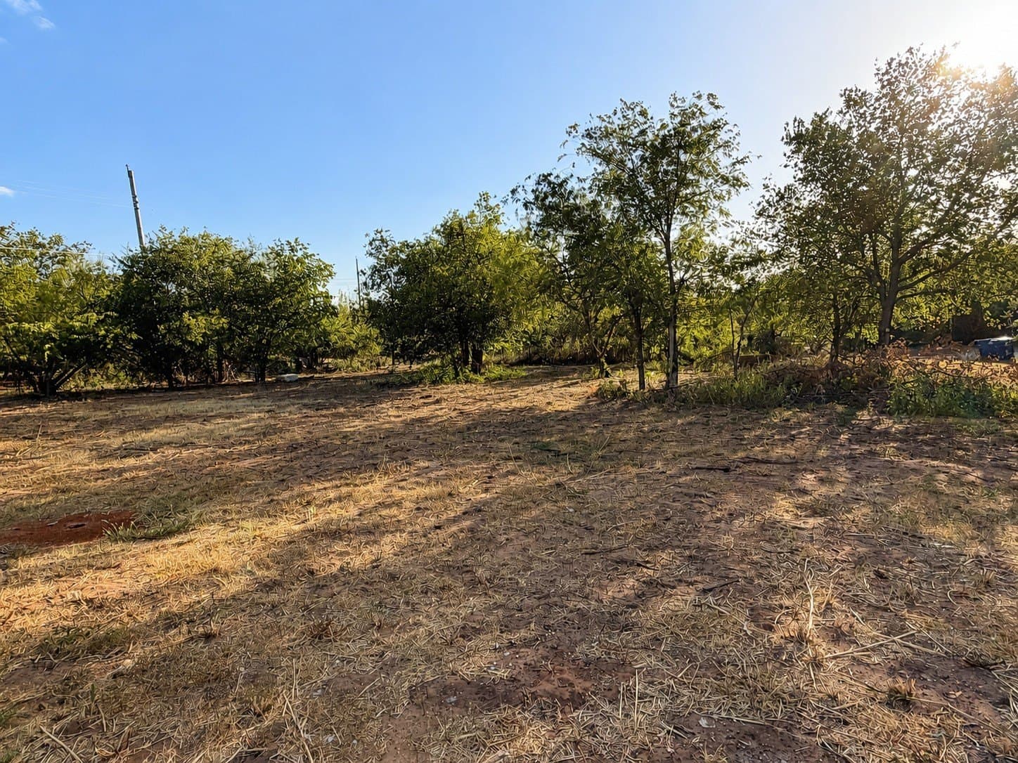 0.57 acres in Eastland County - photo 5
