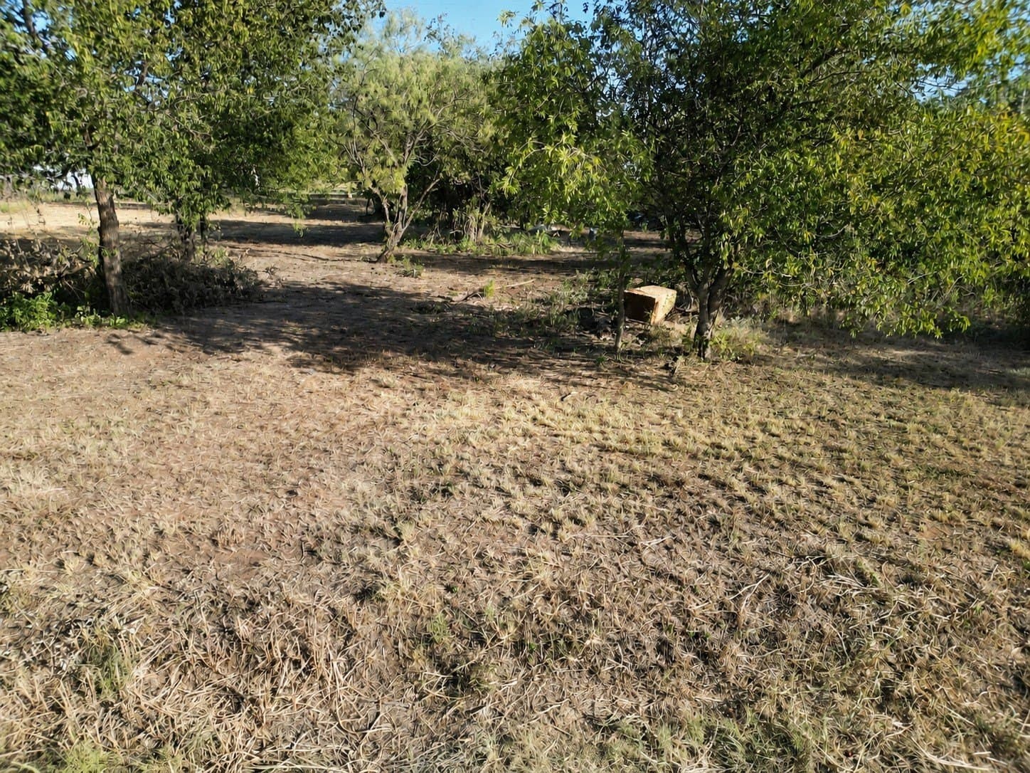 0.57 acres in Eastland County - photo 12