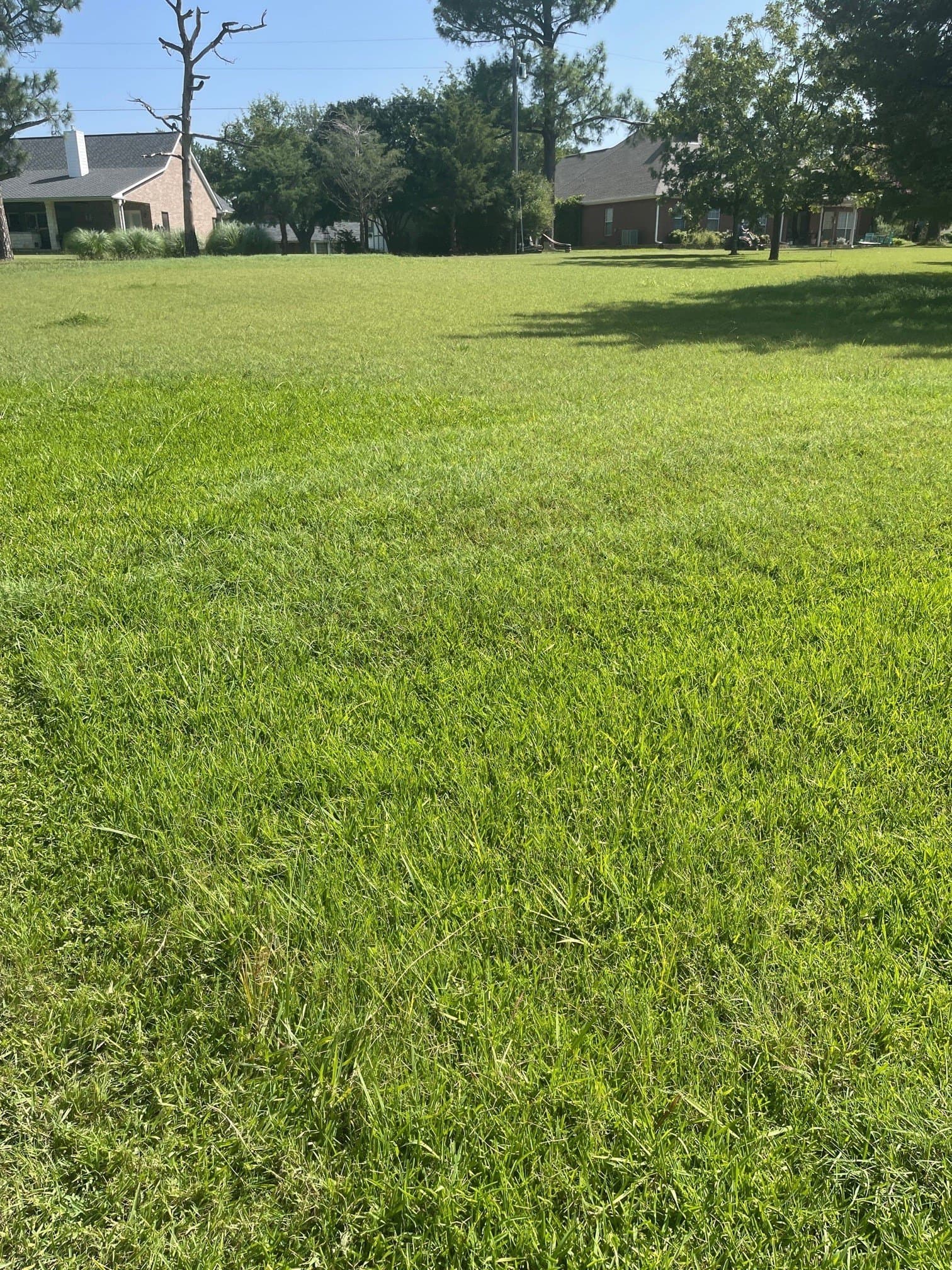 0.39 acres in Grayson County - photo 3