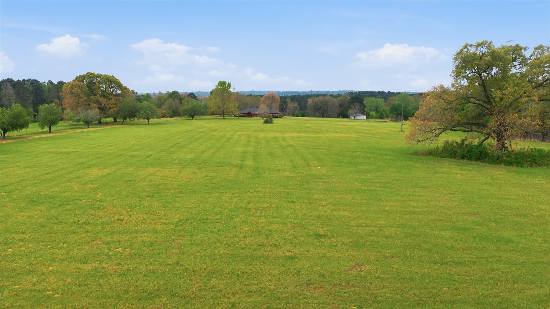 69.19 acres in Henderson County - photo 38