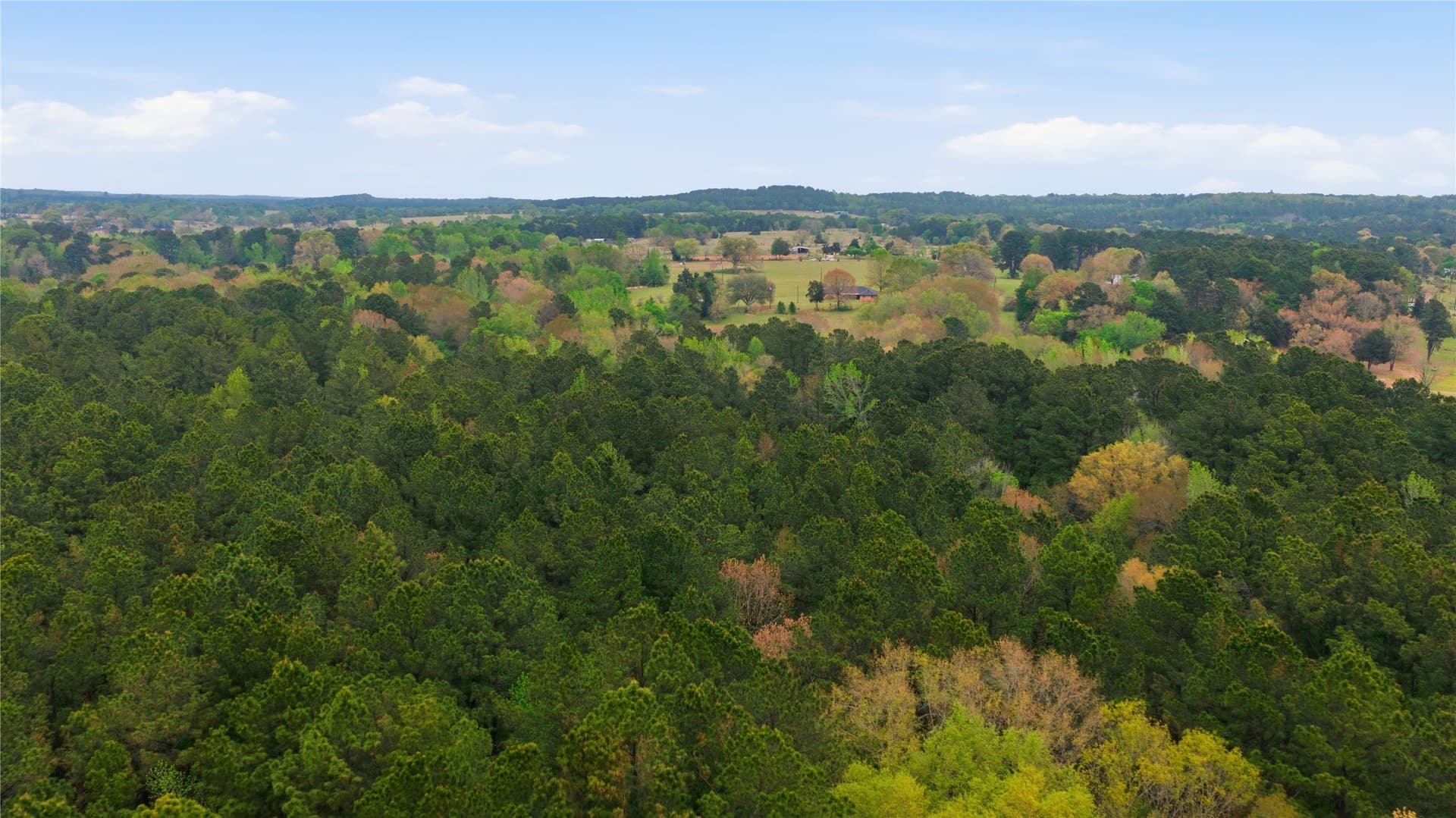 69.19 acres in Henderson County - photo 32