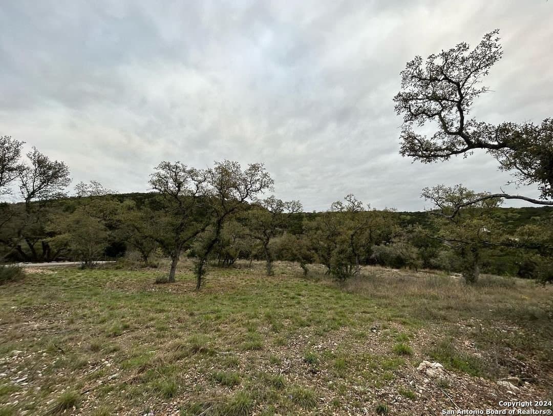 1.6 acres in Medina County - photo 12