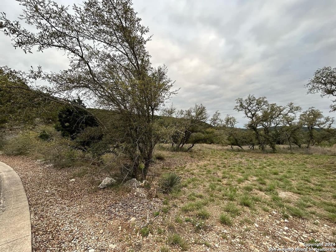 1.6 acres in Medina County - photo 6