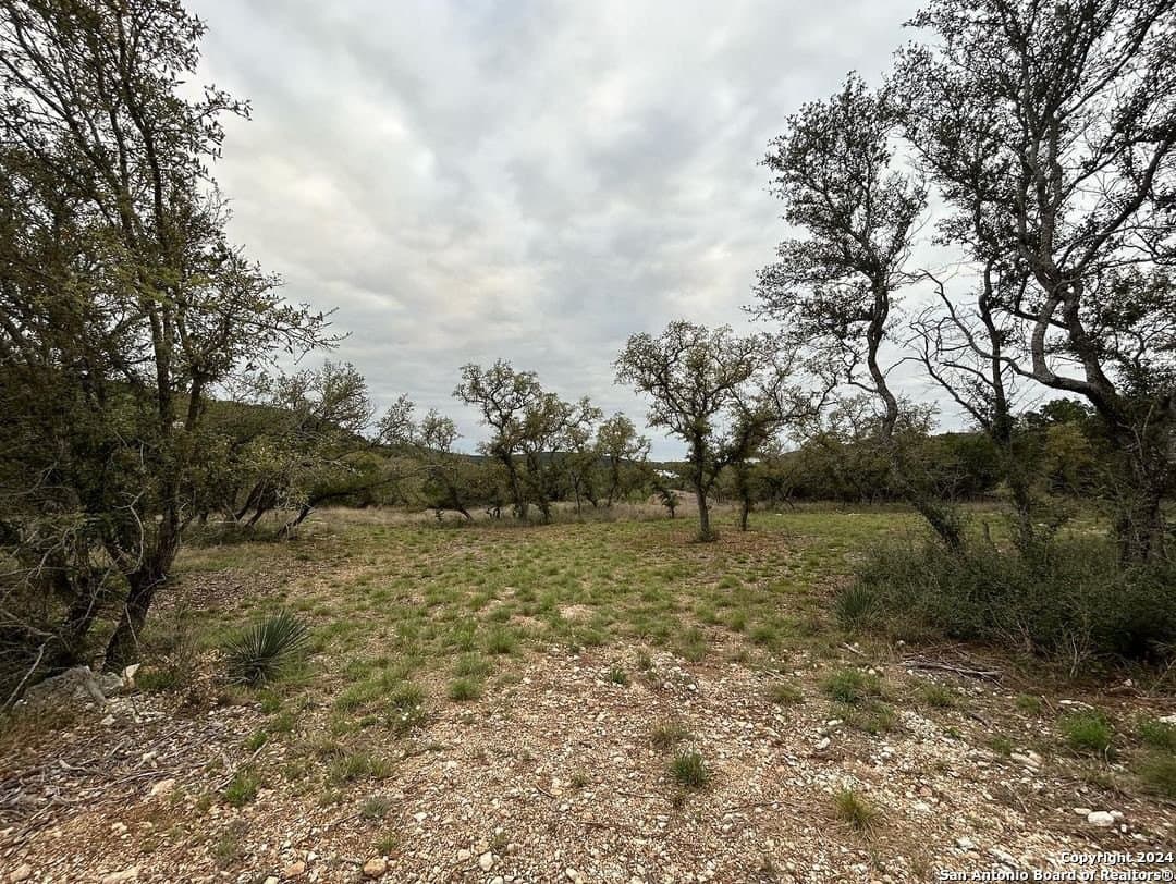 1.6 acres in Medina County - photo 8