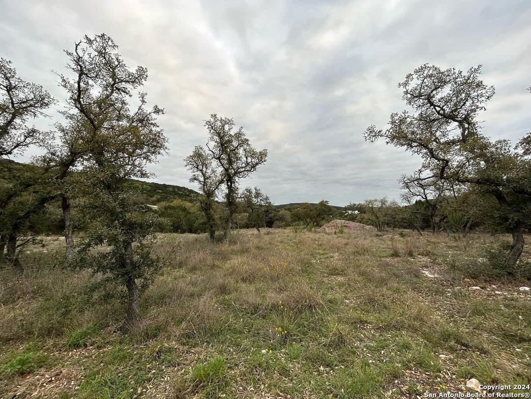 1.6 acres in Medina County - photo 13