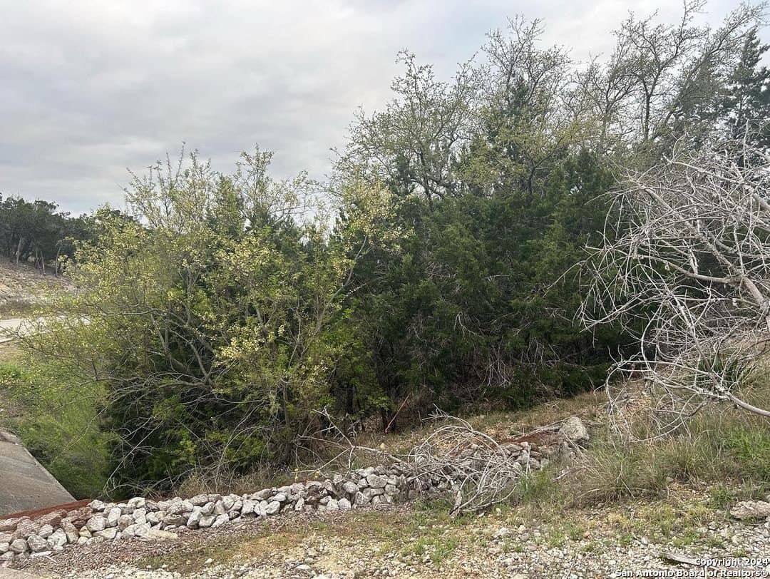 1.6 acres in Medina County - photo 10