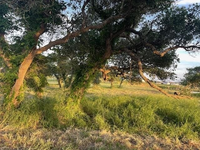 4.29 acres in Aransas County - photo 14