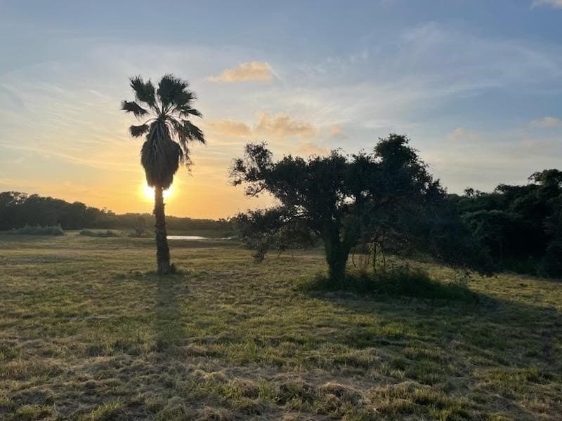 4.29 acres in Aransas County - photo 15