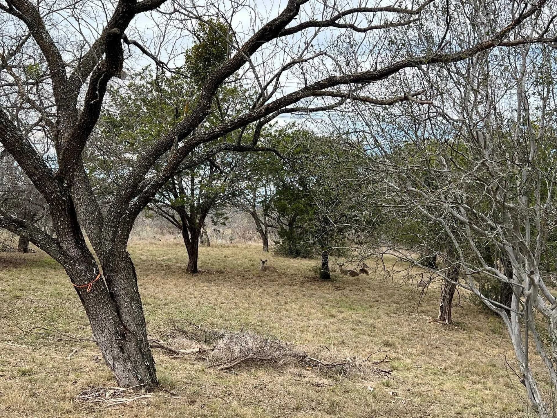 0.32 acres in Llano County - photo 7
