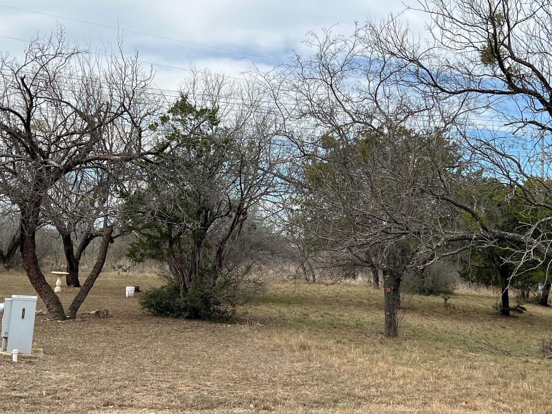 0.32 acres in Llano County - photo 9