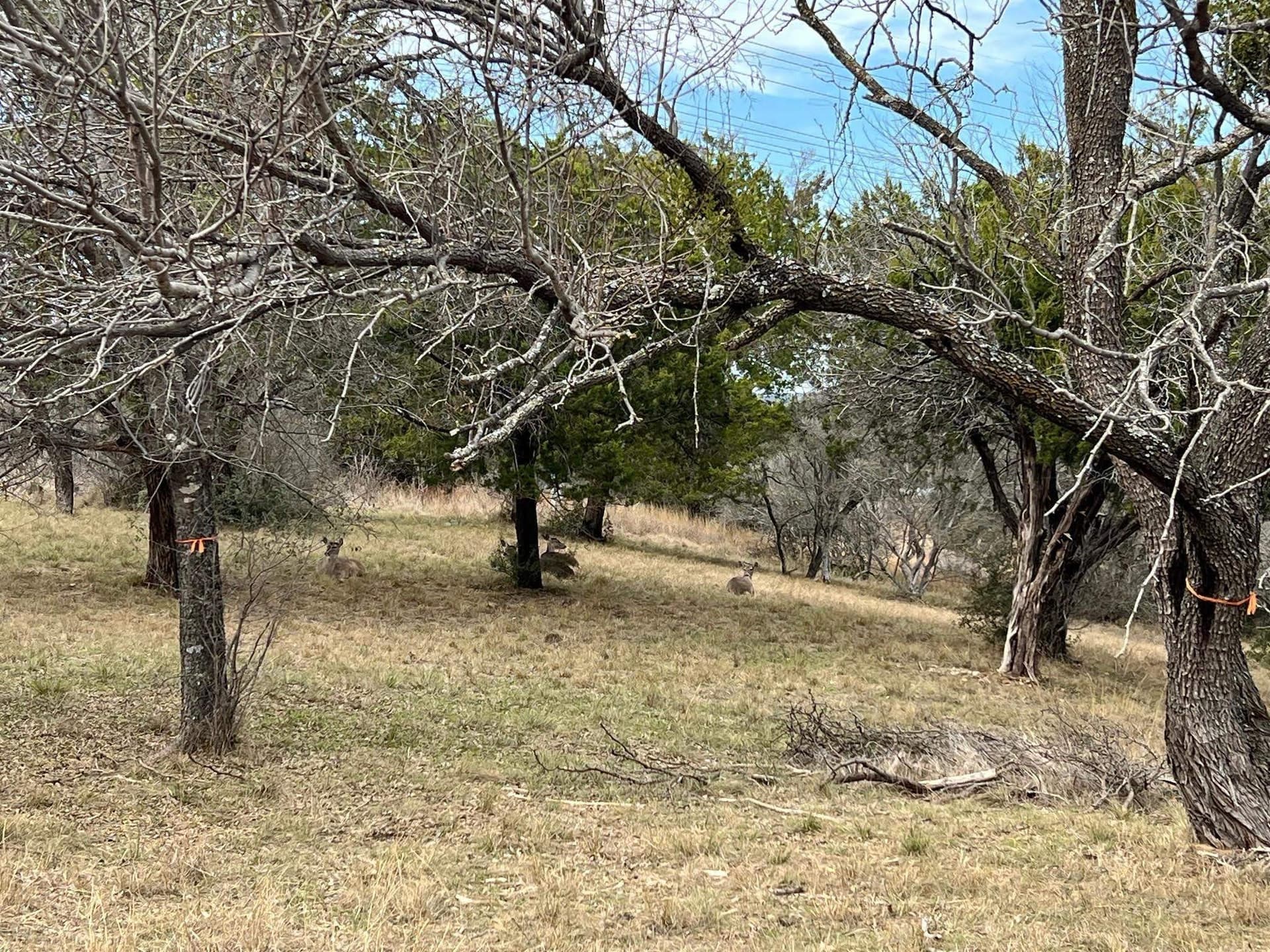 0.32 acres in Llano County gallery image 2