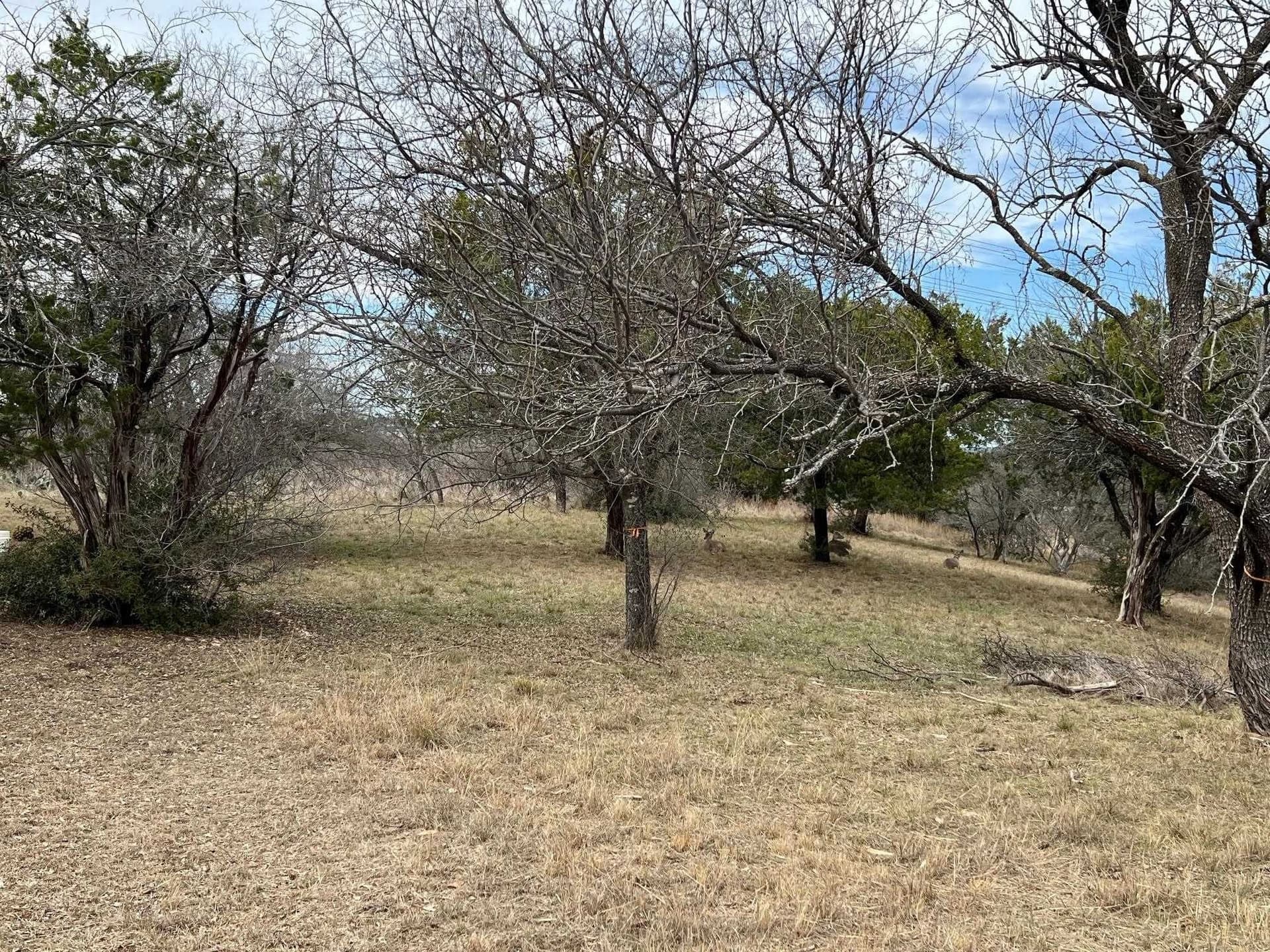 0.32 acres in Llano County featured view