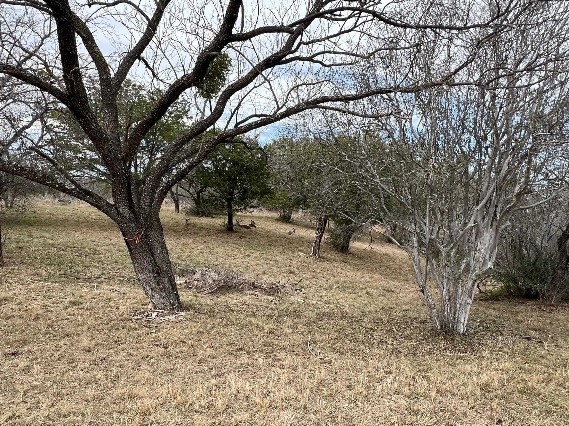 0.32 acres in Llano County - photo 6