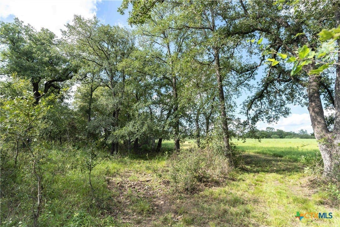 26.36 acres in Caldwell County - photo 12