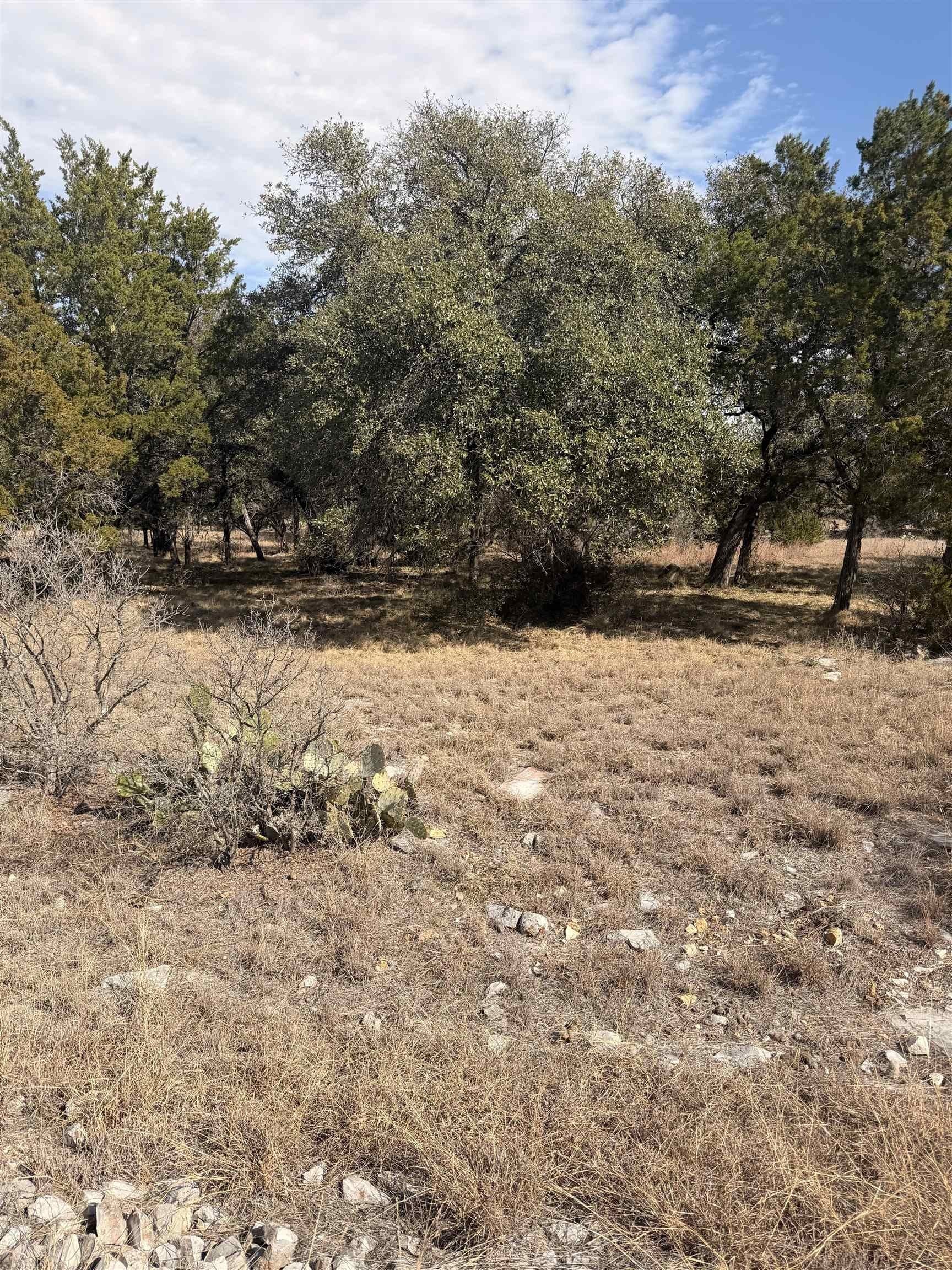 0.25 acres in Llano County gallery image 2