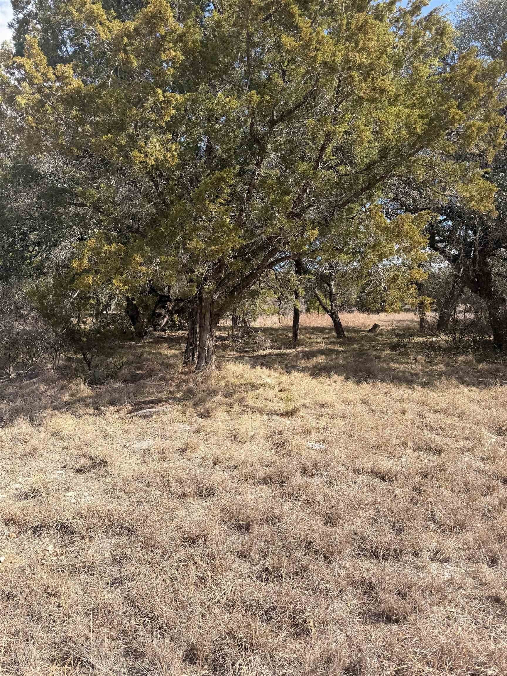 0.25 acres in Llano County gallery image 4