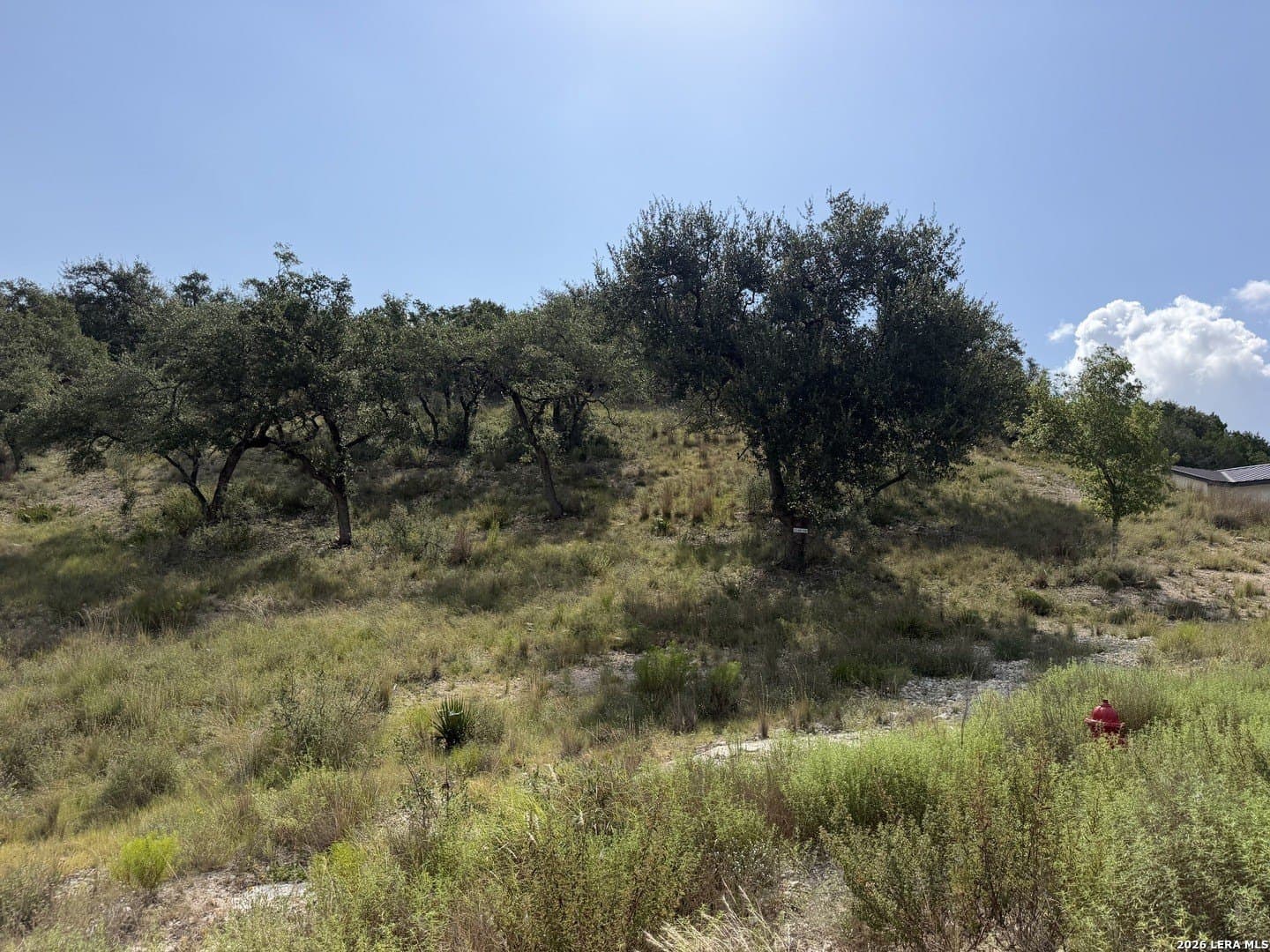 2.25 acres in Comal County - photo 19