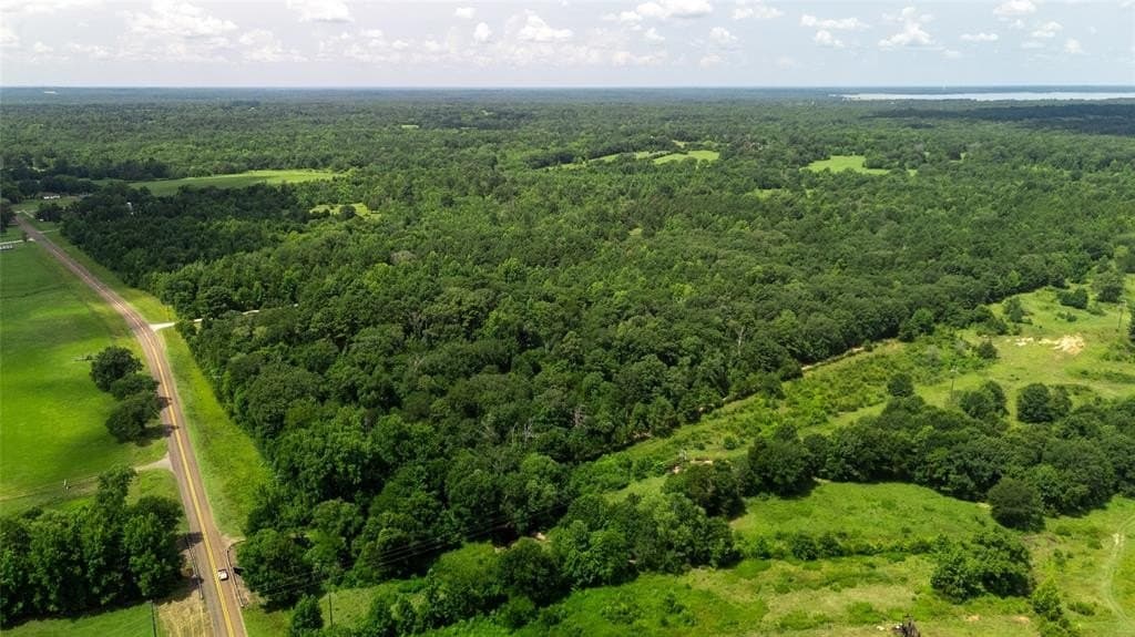 24.97 acres in Wood County gallery image 3