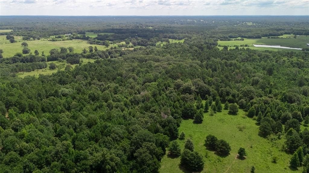 24.97 acres in Wood County featured view