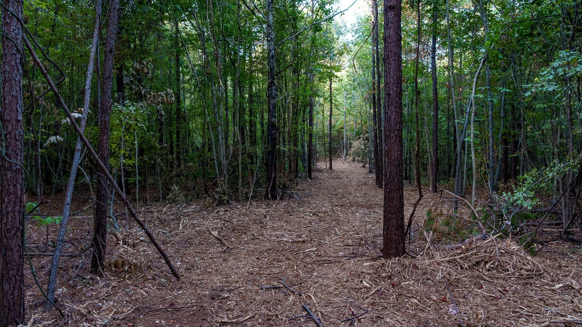 141.79 acres in Smith County - photo 20