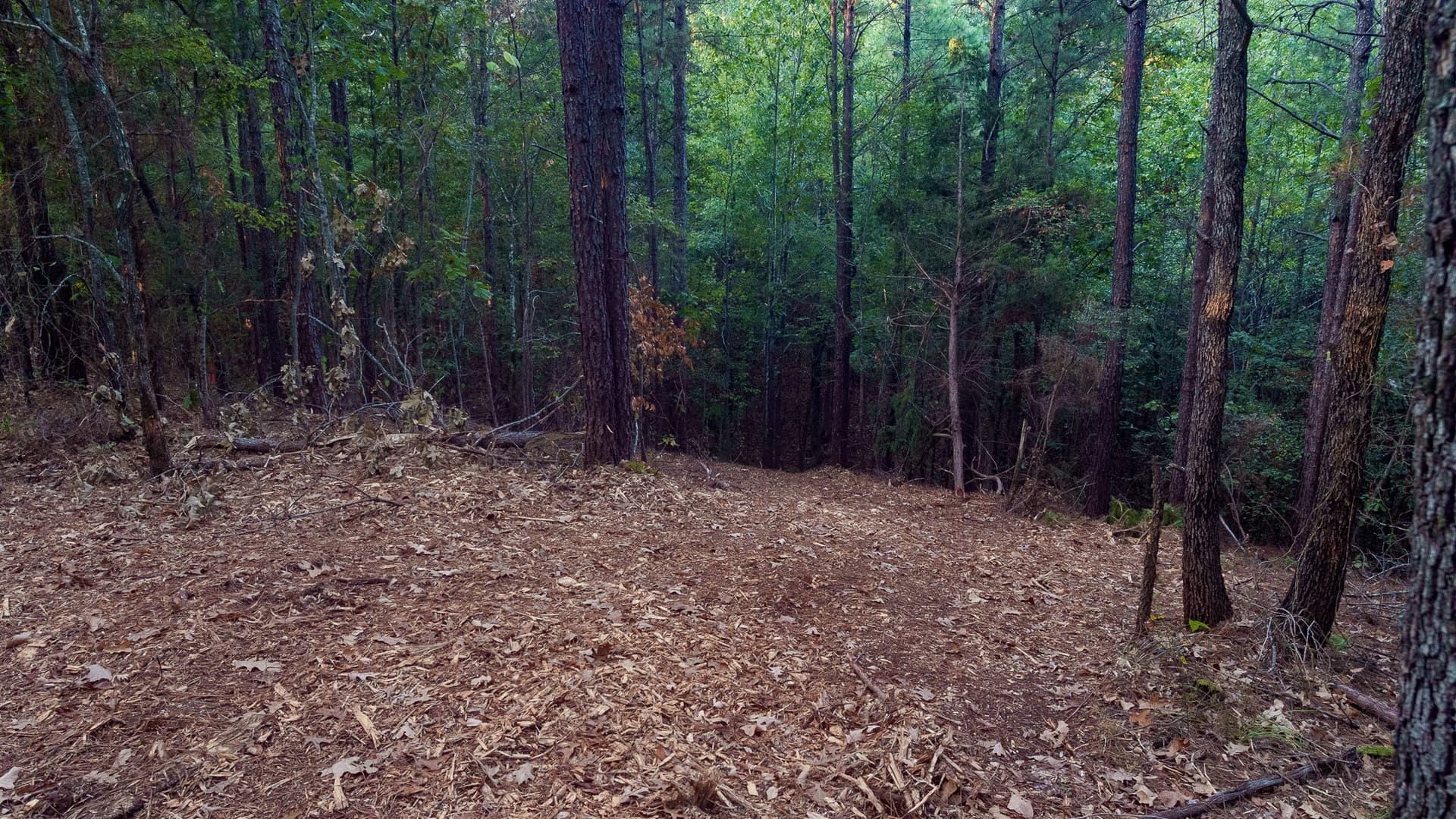141.79 acres in Smith County - photo 16