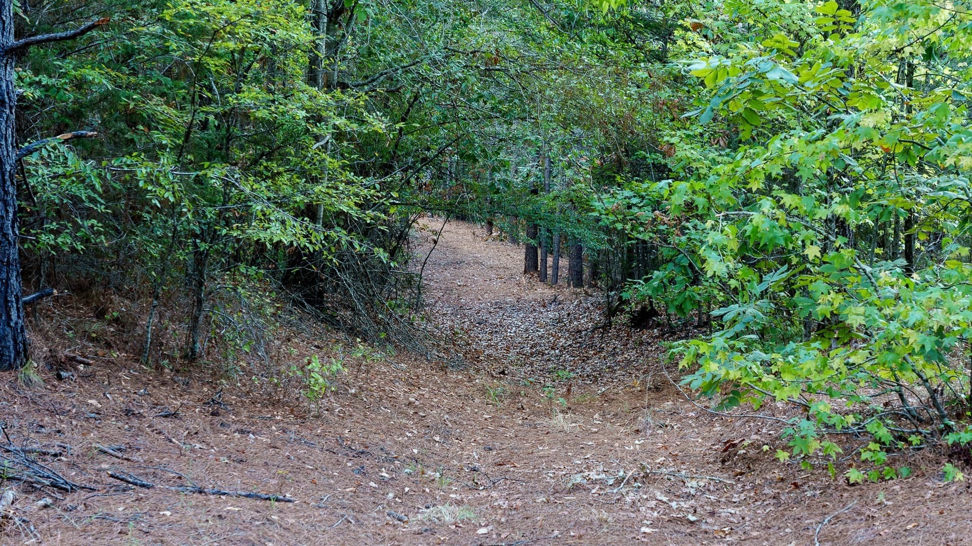 141.79 acres in Smith County - photo 37