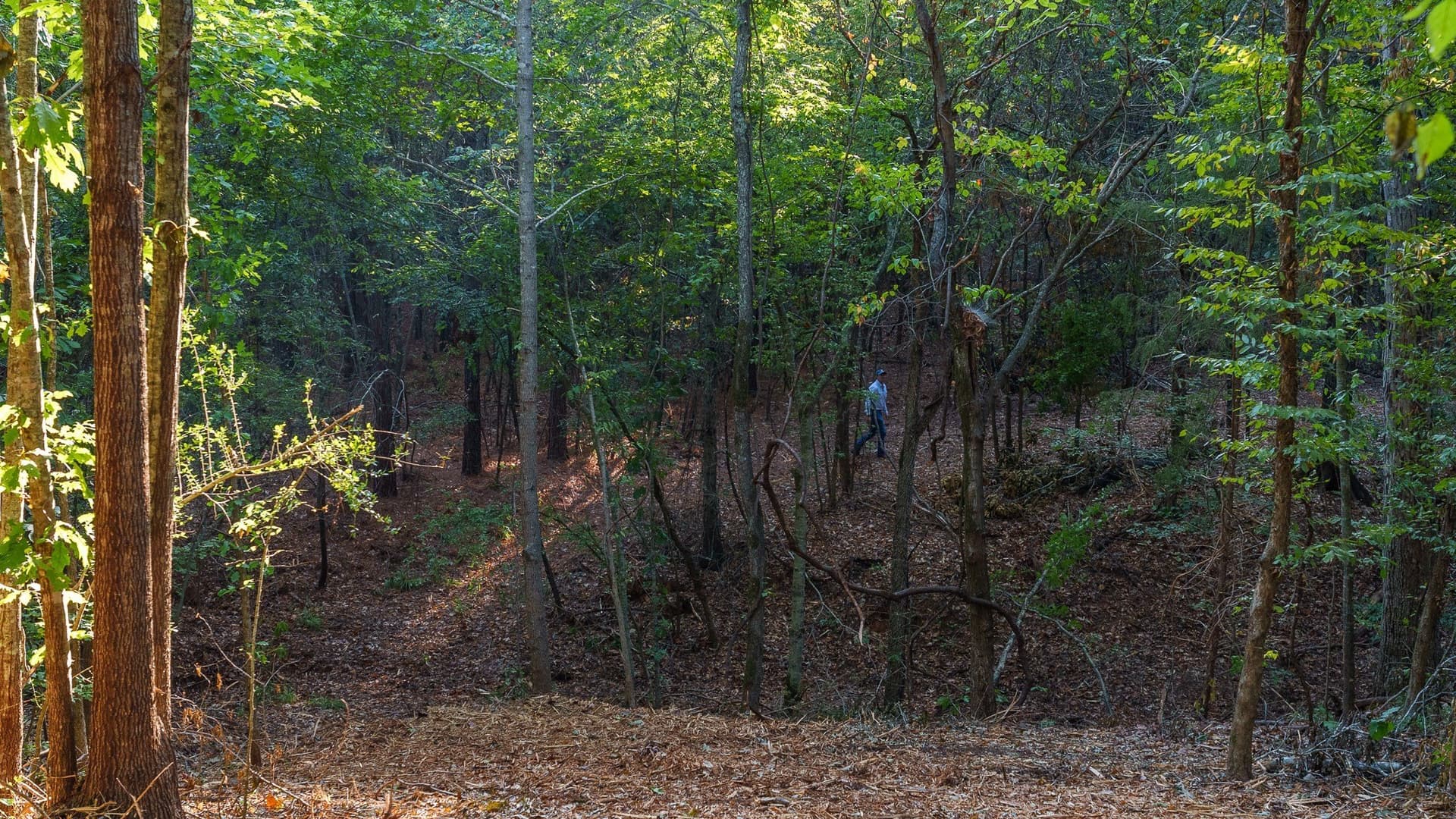 141.79 acres in Smith County - photo 25
