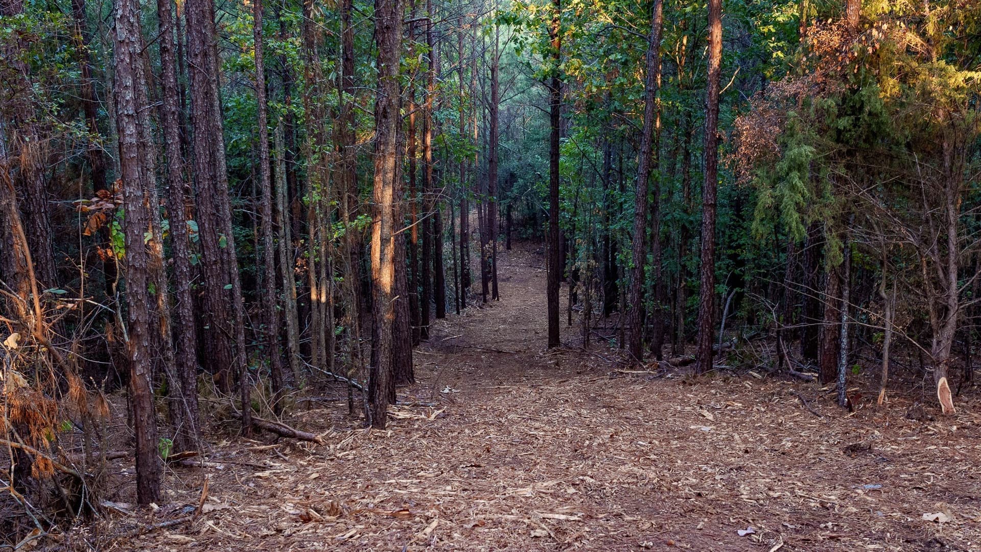 141.79 acres in Smith County - photo 18